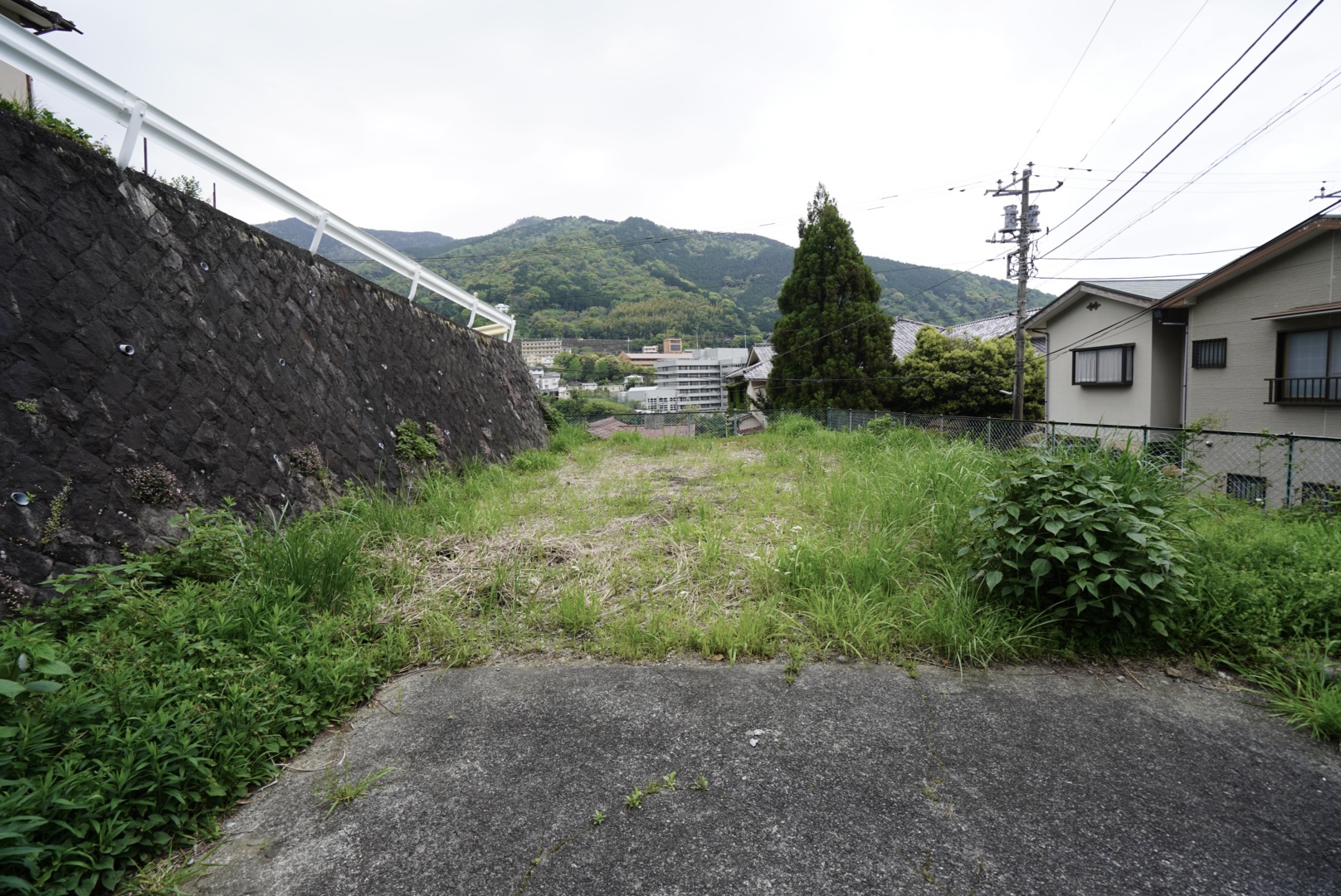 ギャラリー画像