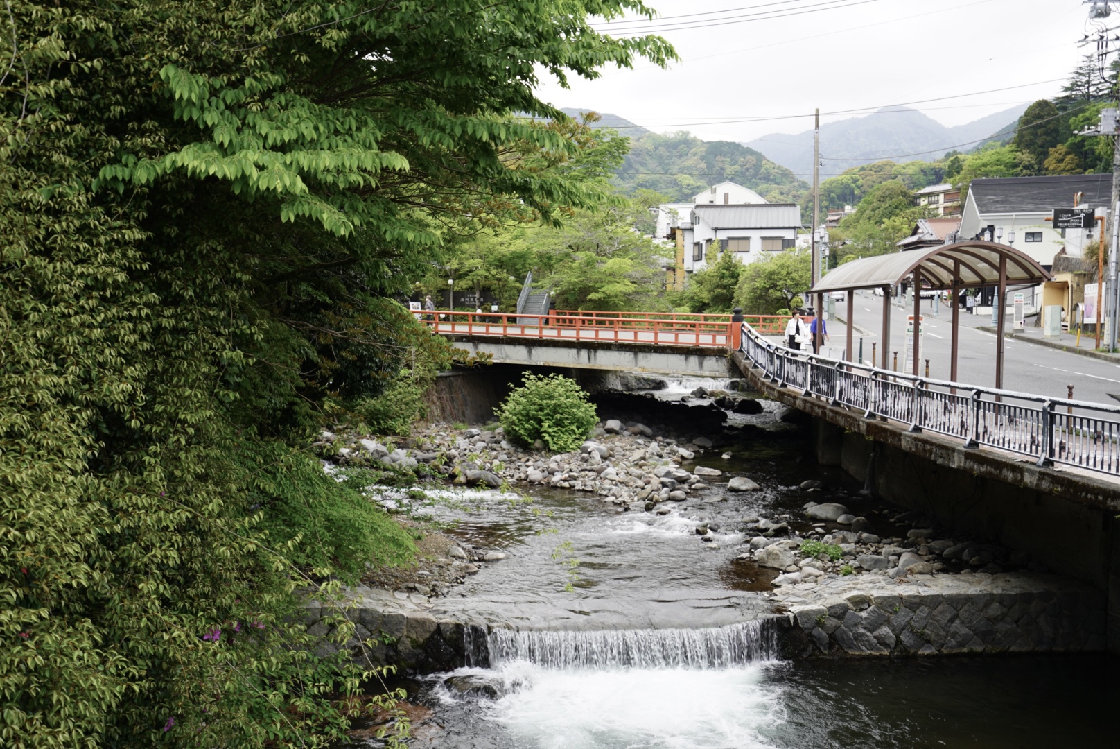 ギャラリー画像