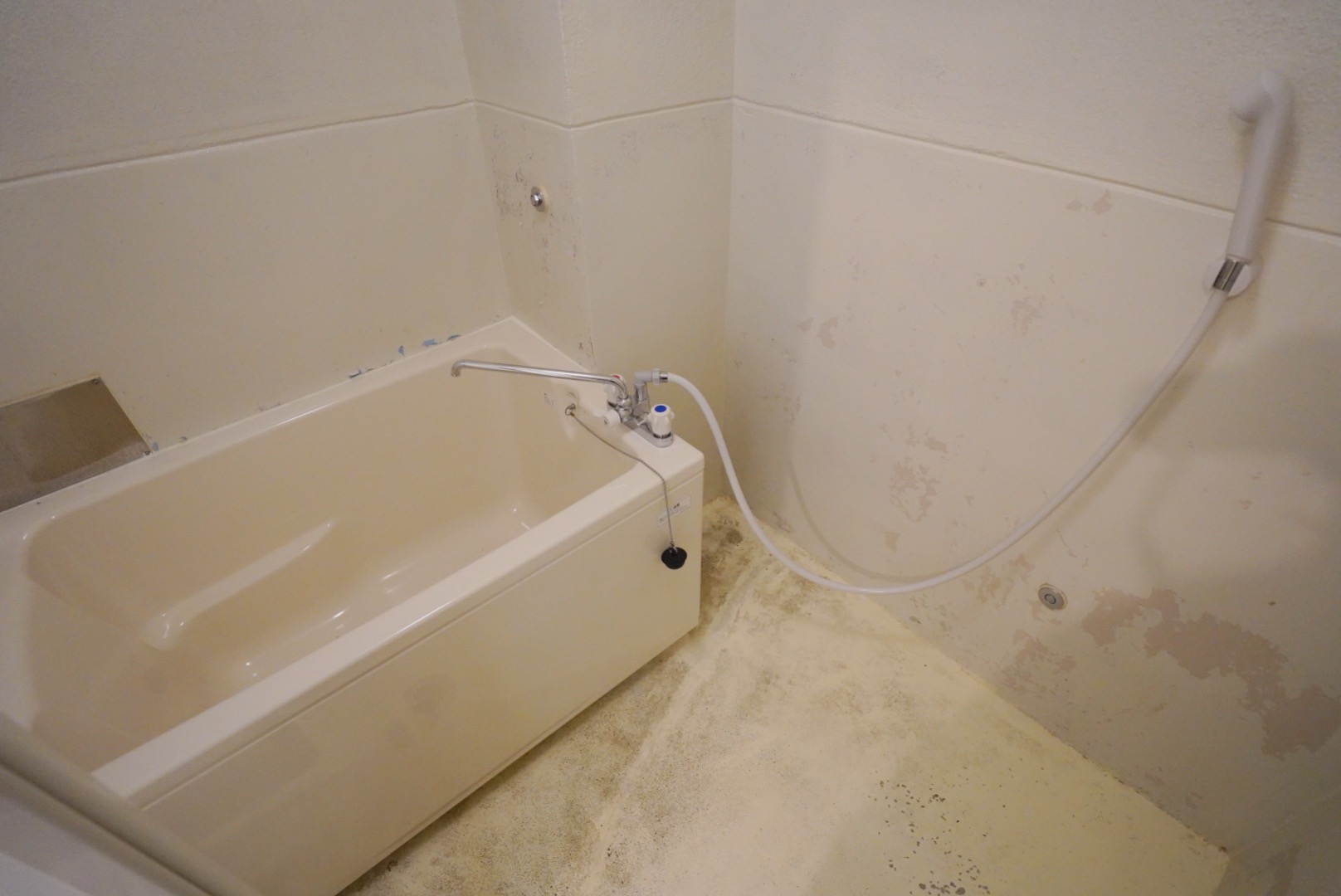 ギャラリー画像のサムネイル