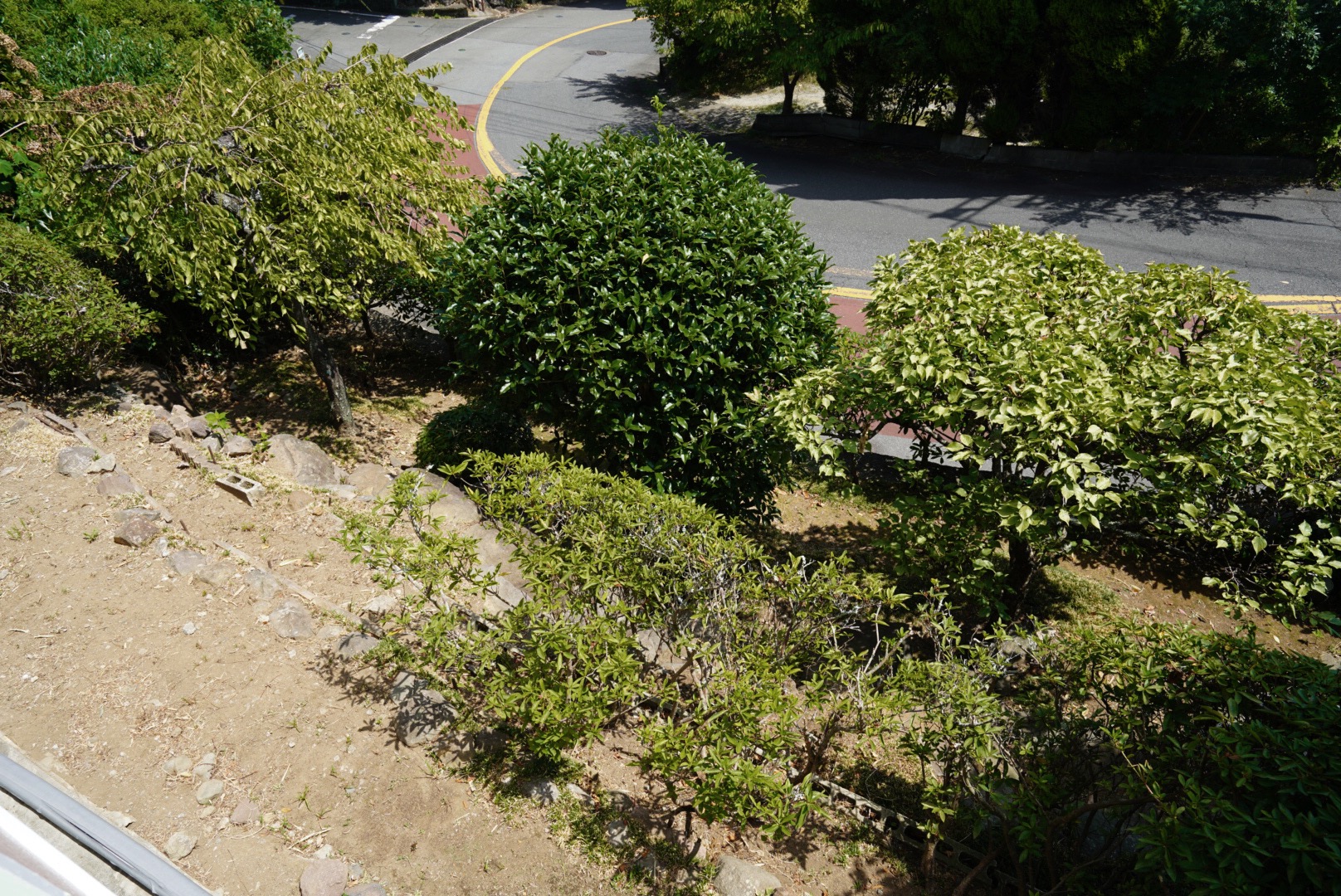 ギャラリー画像