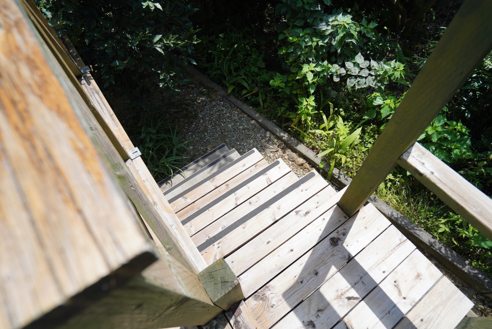 ギャラリー画像