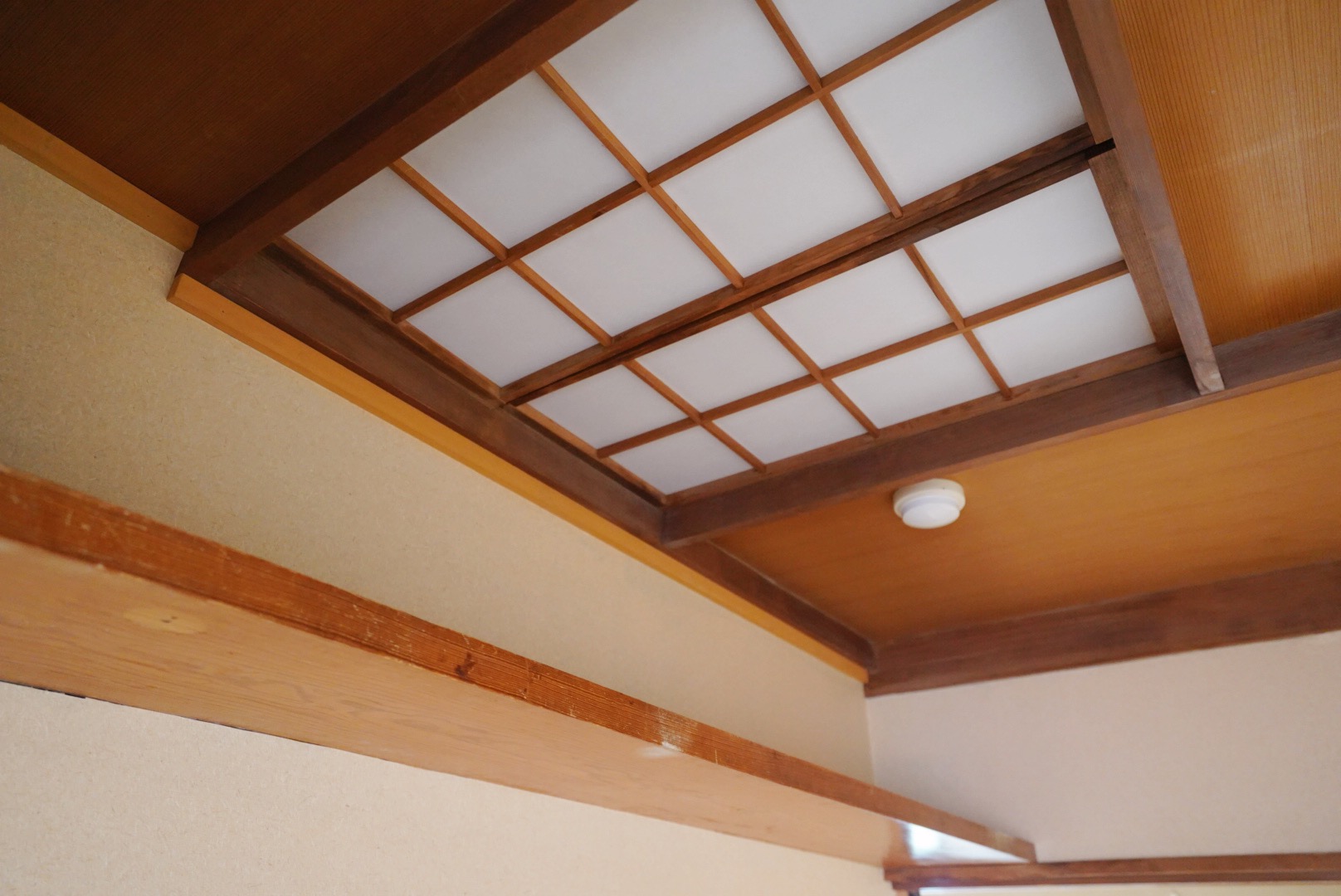 ギャラリー画像