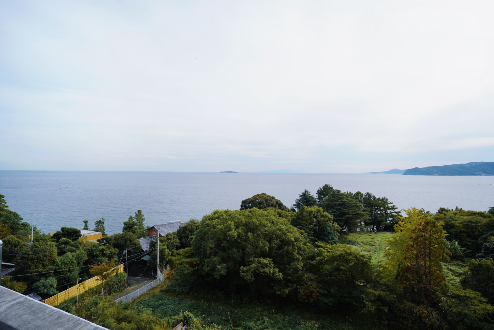 ギャラリー画像