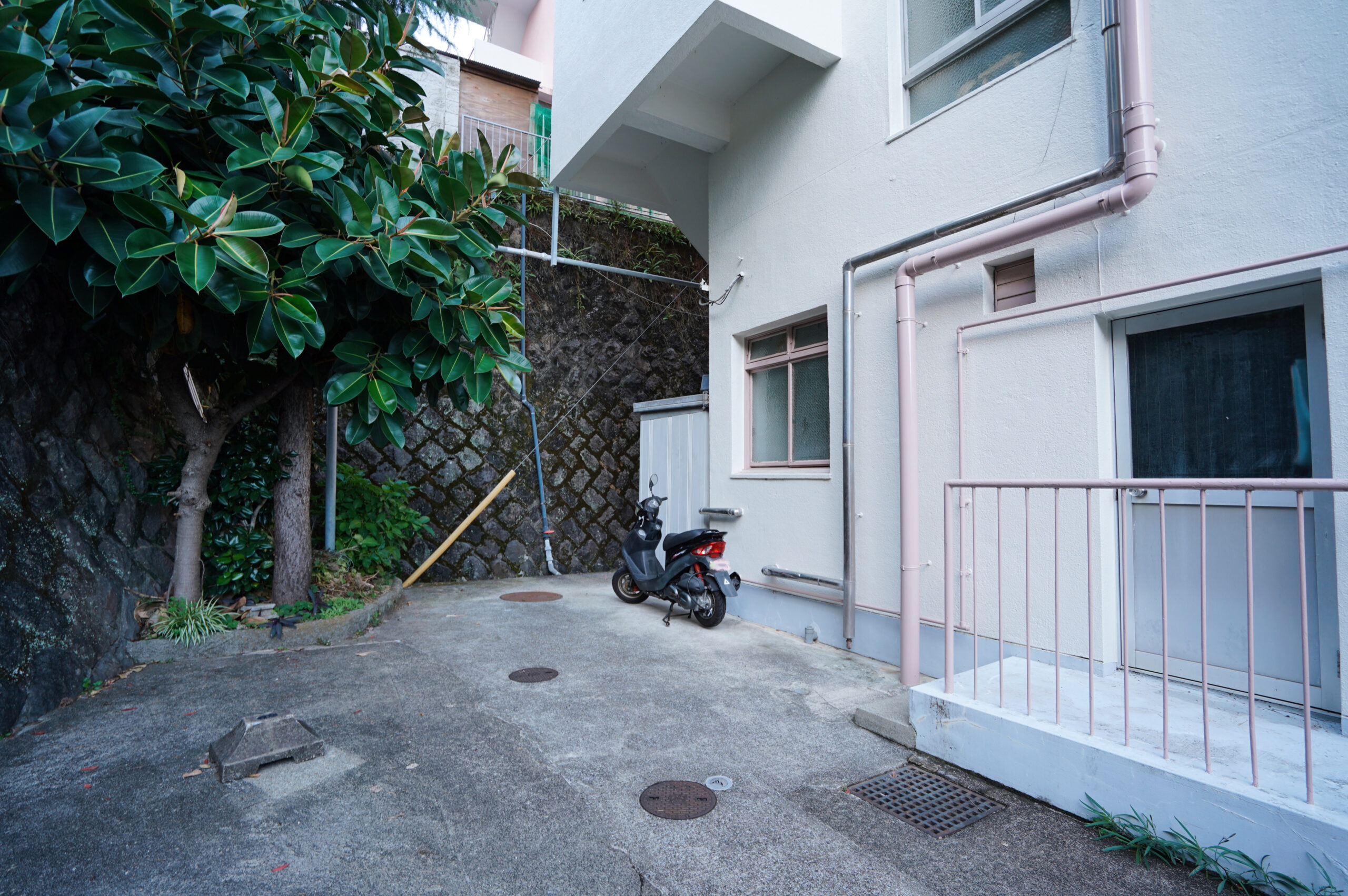 ギャラリー画像