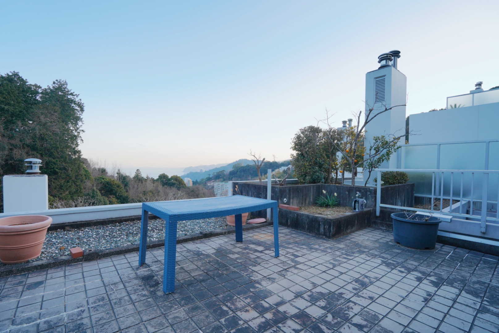 ギャラリー画像