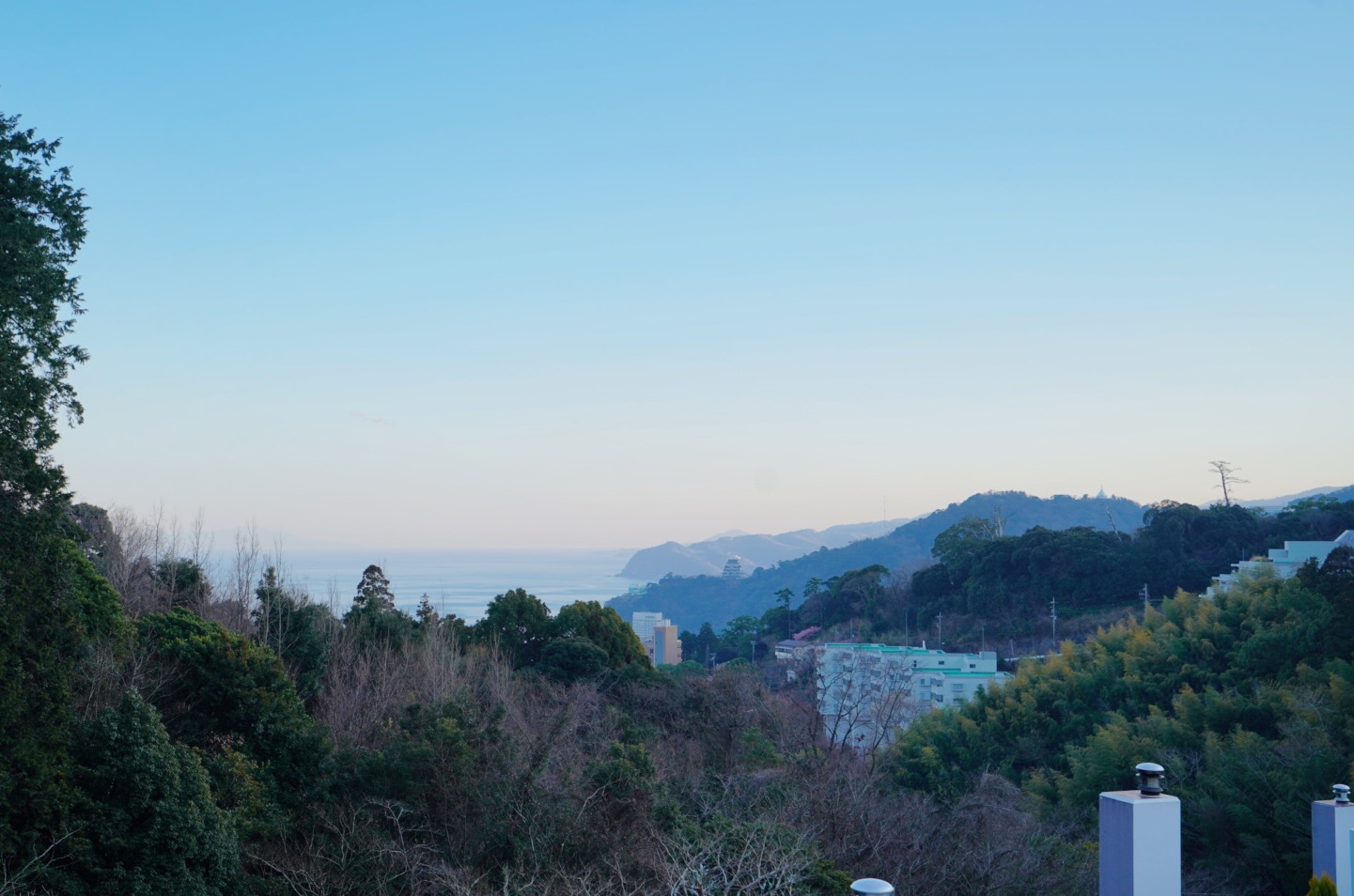 ギャラリー画像